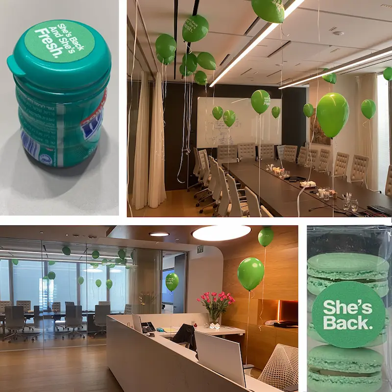 corporate portal in 'Amot' using the SysAid system